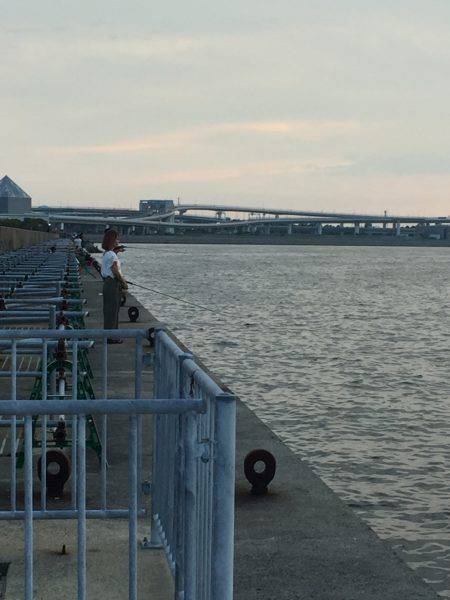 今年初のタッチ〜