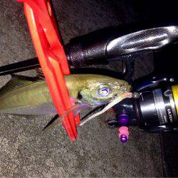 キープオンアジング