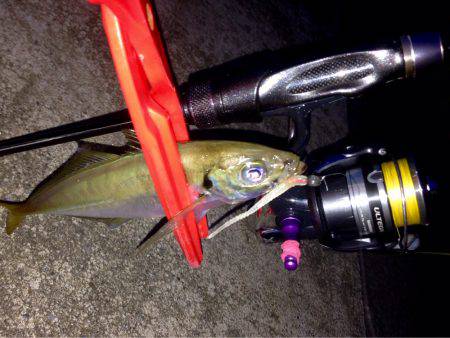 キープオンアジング