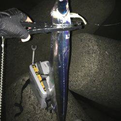 ショアジギとワインド