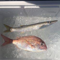 鳴門沖ジギング