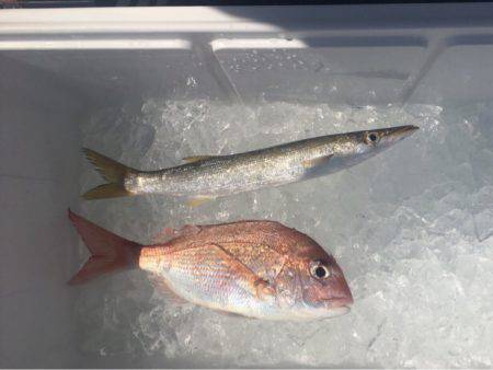 鳴門沖ジギング