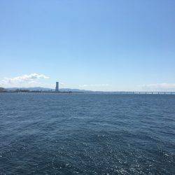 サヨリはどこに