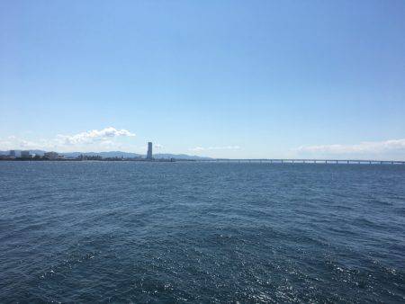 サヨリはどこに