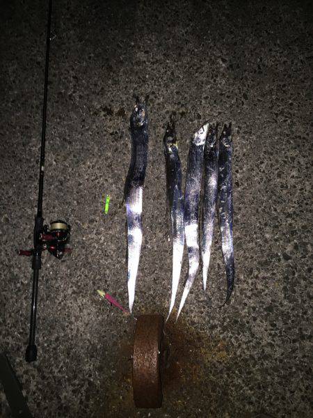 調子乗っちゃって