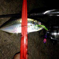 ショップ限定カラー調査