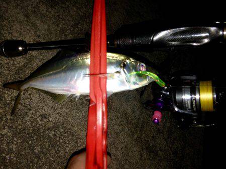 ショップ限定カラー調査