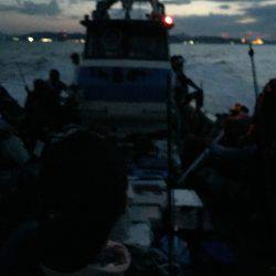 今季初アオリイカ