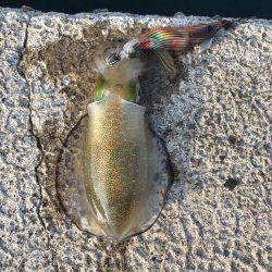 鳴門は人がいっぱい´д` ;