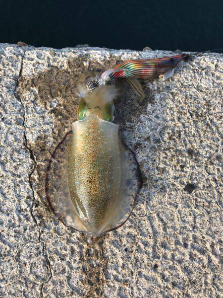 鳴門は人がいっぱい´д` ;