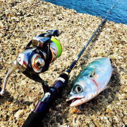 バーサー求めて