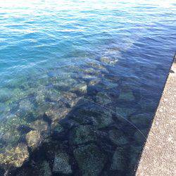 お手軽ライトロック