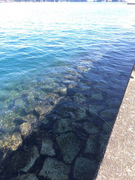 お手軽ライトロック