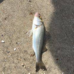 ゴミゴミゴミゴミ