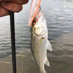 員弁川16時頃トップにて