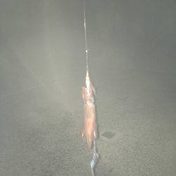 一投目から……