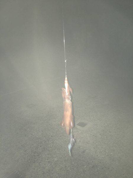 一投目から……