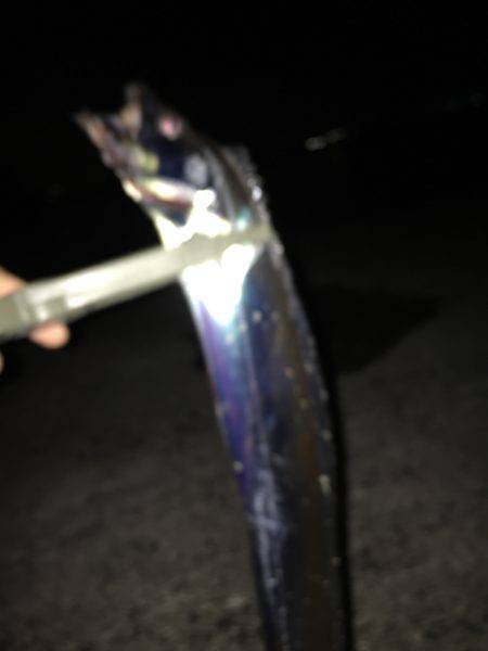 タチウオゲキ渋