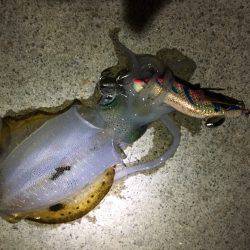 ライト、ライト