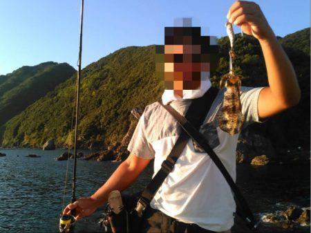 新子シーズン到来