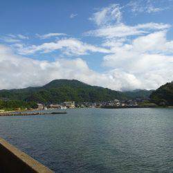 豊岡竹野港内でアオリイカ2日目