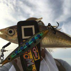 五目スプーンジグで楽しく五目釣り