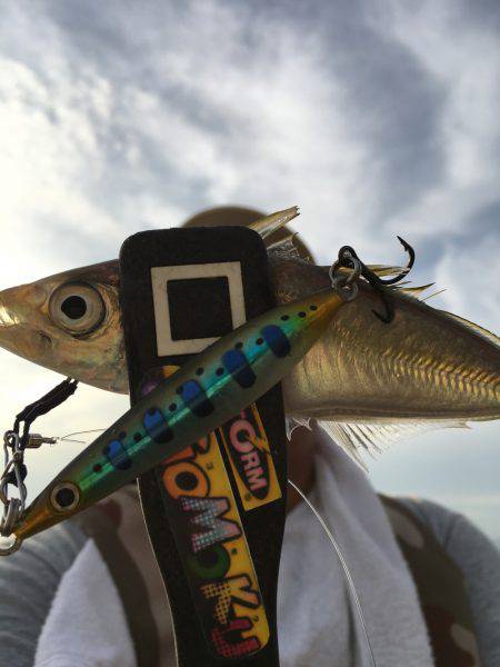 五目スプーンジグで楽しく五目釣り