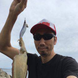 アオリイカ調査