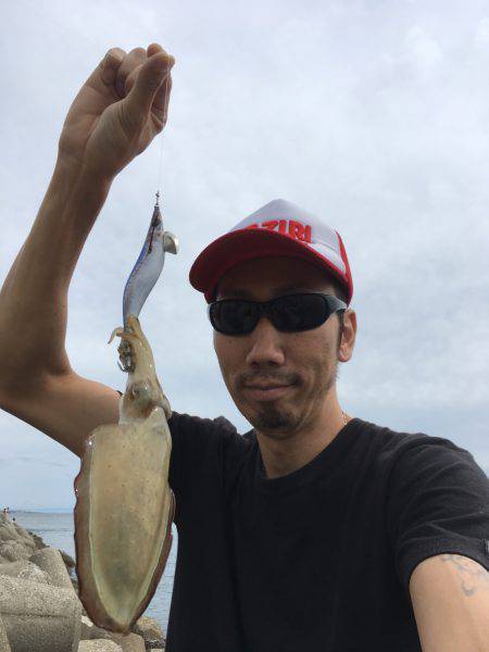 アオリイカ調査