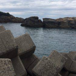 周参見から白浜 ランガン