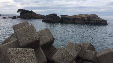 周参見から白浜 ランガン