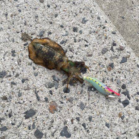 風が強かった、そら台風来てるもんな！笑