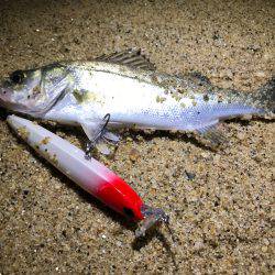 ナイトウェーディング