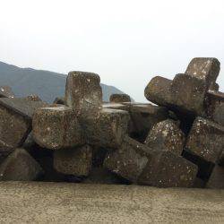 今年最後の釣り！