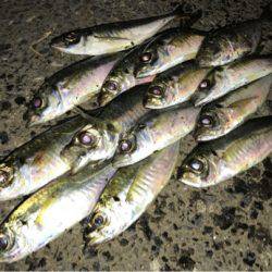 再現出来るか？