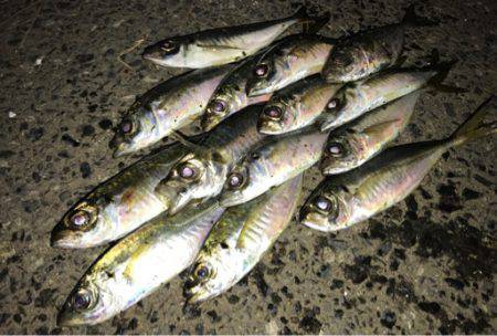 再現出来るか？