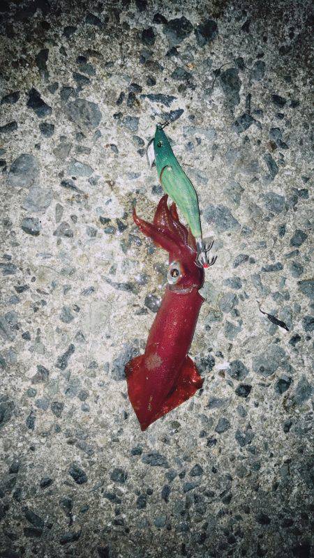 全然あたりなし！