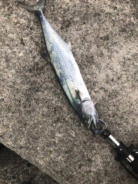 貝塚人工島にて