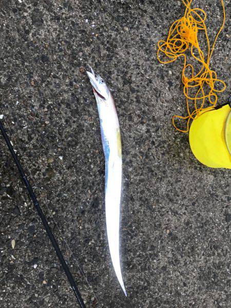 雨にも負けずショアジギング