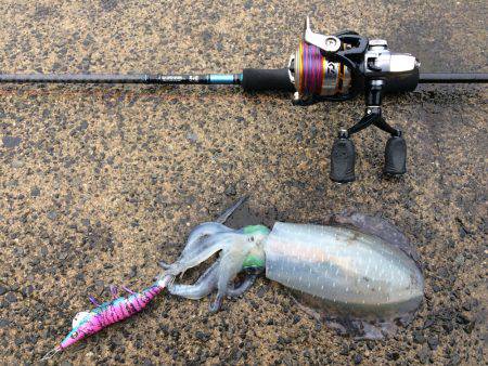 昨夜からランガンで…