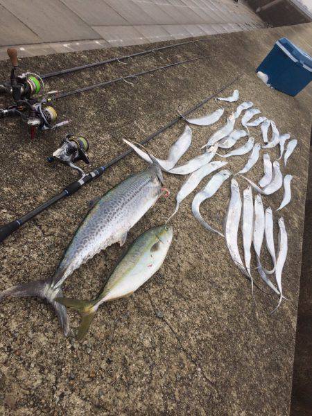 台風前フィッシング