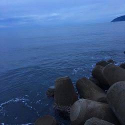 台風前の早朝エギング