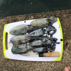 台風前にエギング