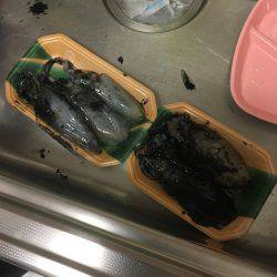 ヤッパリ奴は裏切らない