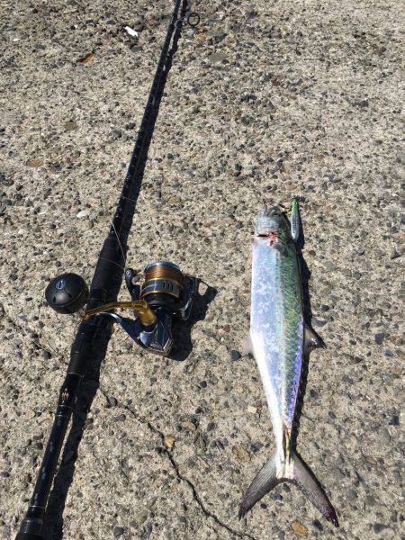 昼の地合いにて。