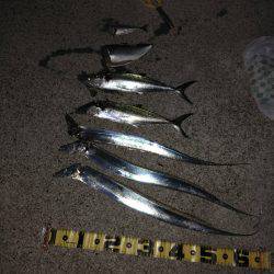 台風一過後のお祭りワッショイ