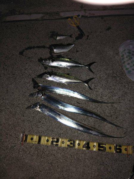 台風一過後のお祭りワッショイ