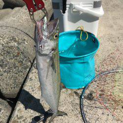 台風後のショアジギ