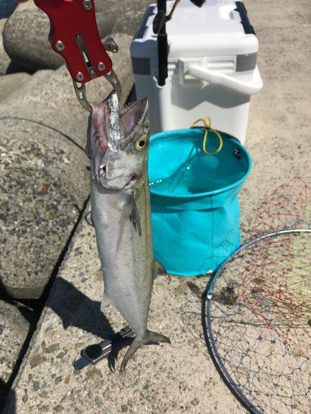 台風後のショアジギ
