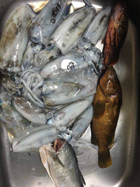 暇潰しエギング